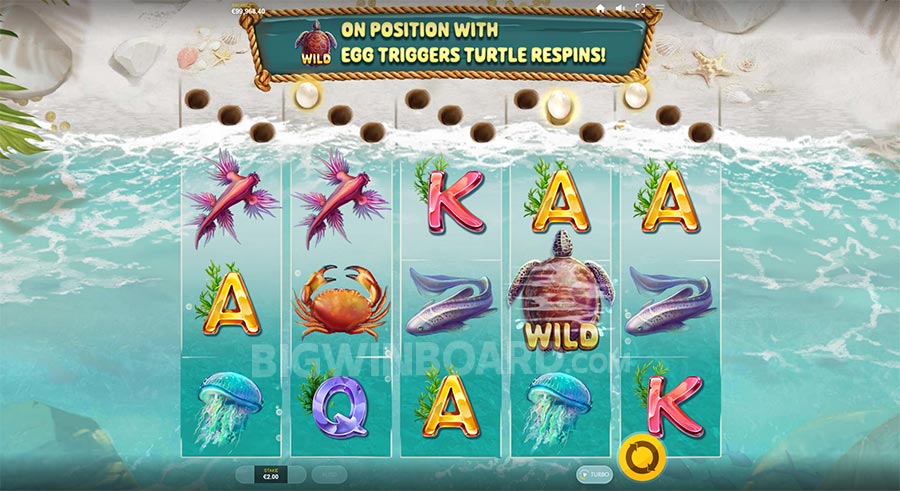 Turtle Paradise slot