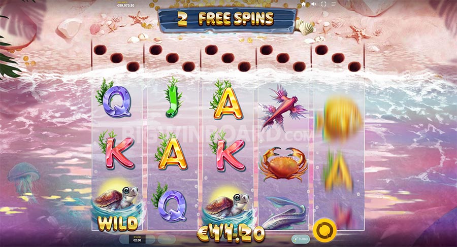 Turtle Paradise slot